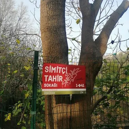 Lovely Flat In Greens At The Heart Of Kuzguncuk *