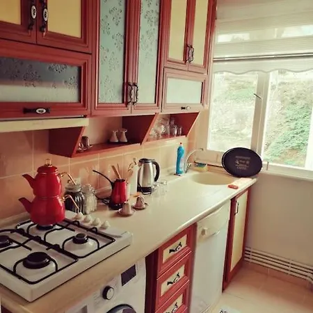 Lovely Flat In Greens At The Heart Of Kuzguncuk * Istanbul