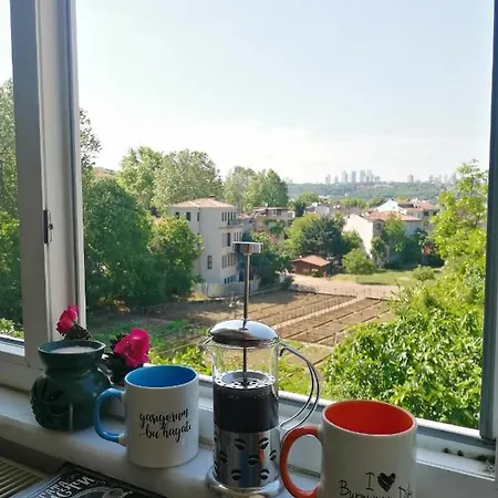 Lovely Flat In Greens At The Heart Of Kuzguncuk Apartment *