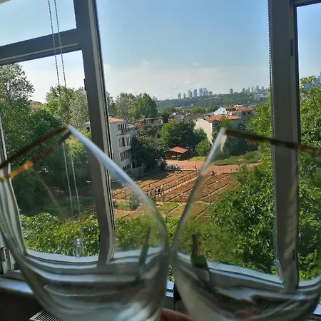 Lovely Flat In Greens At The Heart Of Kuzguncuk Apartment