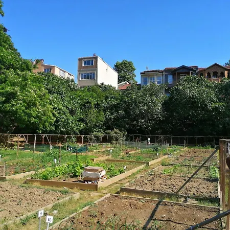 Lovely Flat In Greens At The Heart Of Kuzguncuk Apartment Istanbul