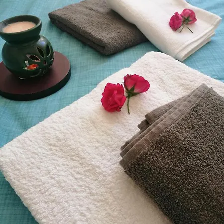 Apartment Lovely Flat In Greens At The Heart Of Kuzguncuk Istanbul
