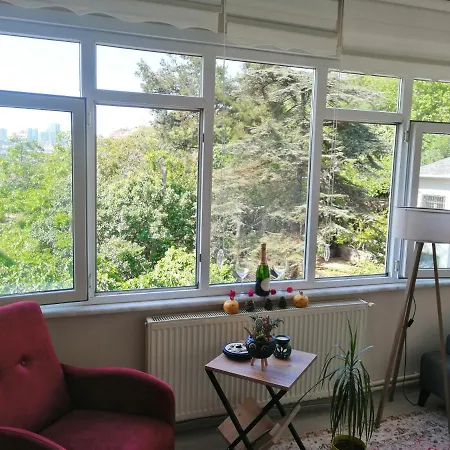 Apartment Lovely Flat In Greens At The Heart Of Kuzguncuk Istanbul